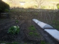 My Garden 2016 - Mar